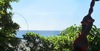 Hammock View