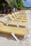 Beach Activity