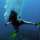 Lauren_underwater