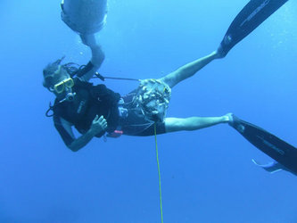Lnfishrelease