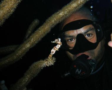 Marco_seahorse