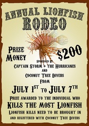 Rodeo2