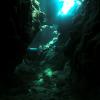 Bears_den