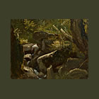 Forest Interior