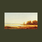 Marshes on the Hudson