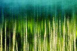 Reflections