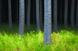 Untitled_11