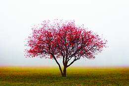 Untitled_15