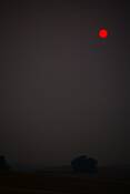 Sun_s_fire