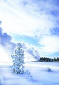 Old_faithful
