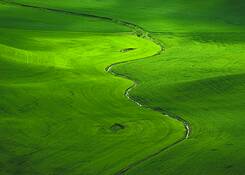 Farmland