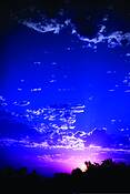 Vivid_05_2