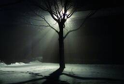 Tree_1