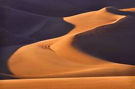 Wind_swept_1