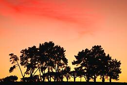 La_selva_fall_colors