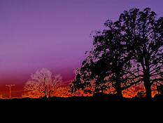 Electric_sunset