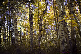 Untitled_6