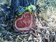 Ancestral_heart