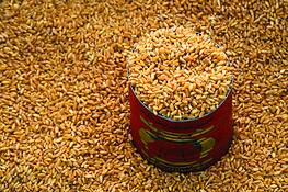 Grain