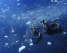 The_bicycle