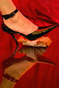 The_shoe_and_the_leaf