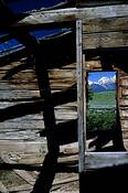 Room_with_a_view