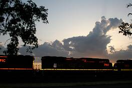 Neon_train