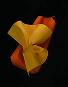 Untitled_7