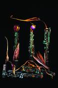 New_orleans_metaphor_i