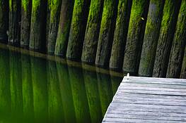 Harbor