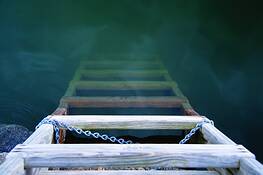 Ladder