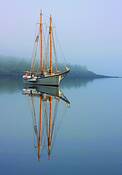 Schooner_american_eagle_at_anchor