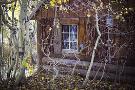 Untitled_5
