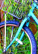 Bike_and_grass