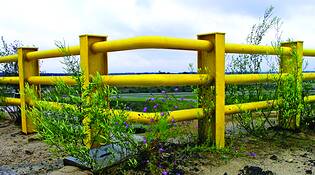 Guardrail