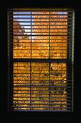 My_window_-_autumn