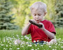 Jacob_in_clover