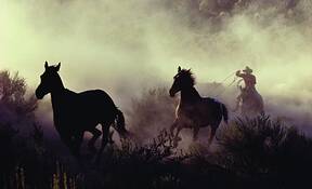 Round_up
