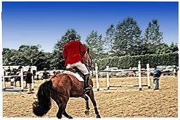 Red_rider