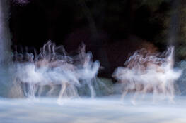 Angels_dance
