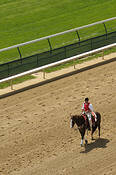 Outrider
