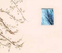Met_facade