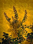 Wine_trail_20_-_umbra
