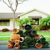 Carpets