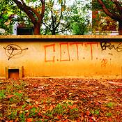 Montreuil