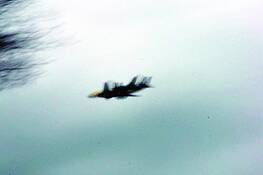 Close_encounter