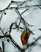 Chill_in_the_air