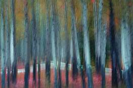Aspen_motion