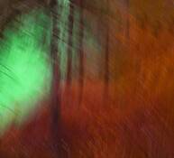 Caledon_motion