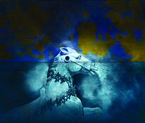 Blue_pony